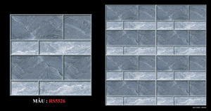 Sân Vườn Procelain  RS 5526